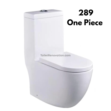 A289 One Piece Toilet Bowl / Geberit (include Installation)