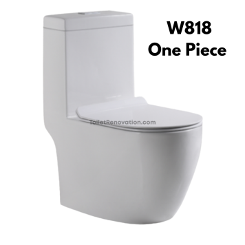 W818 One Piece Toilet Bowl / Geberit (include Installation)