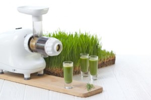 oscar 900 juicer