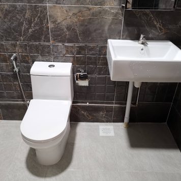 Replace Toilet Stainless Steel Piping