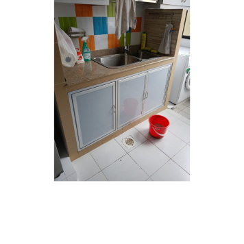 Kitchen Sink / Sink Door