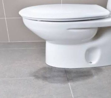 Toilet Bowl Leak Repair