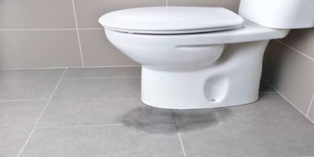 Toilet Bowl Leak Repair