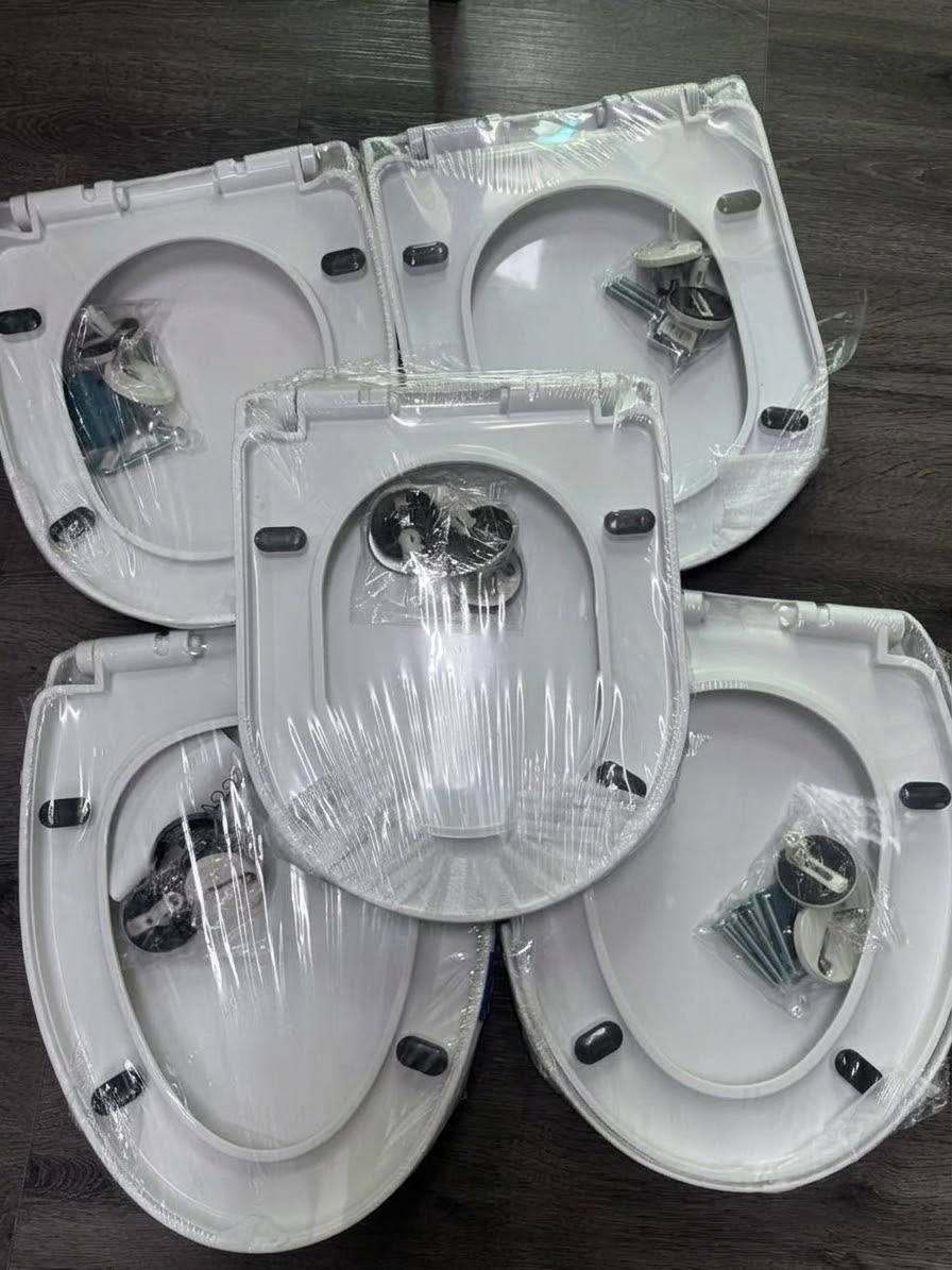 Toilet Bowl Seat Cover Replacement - Image 3