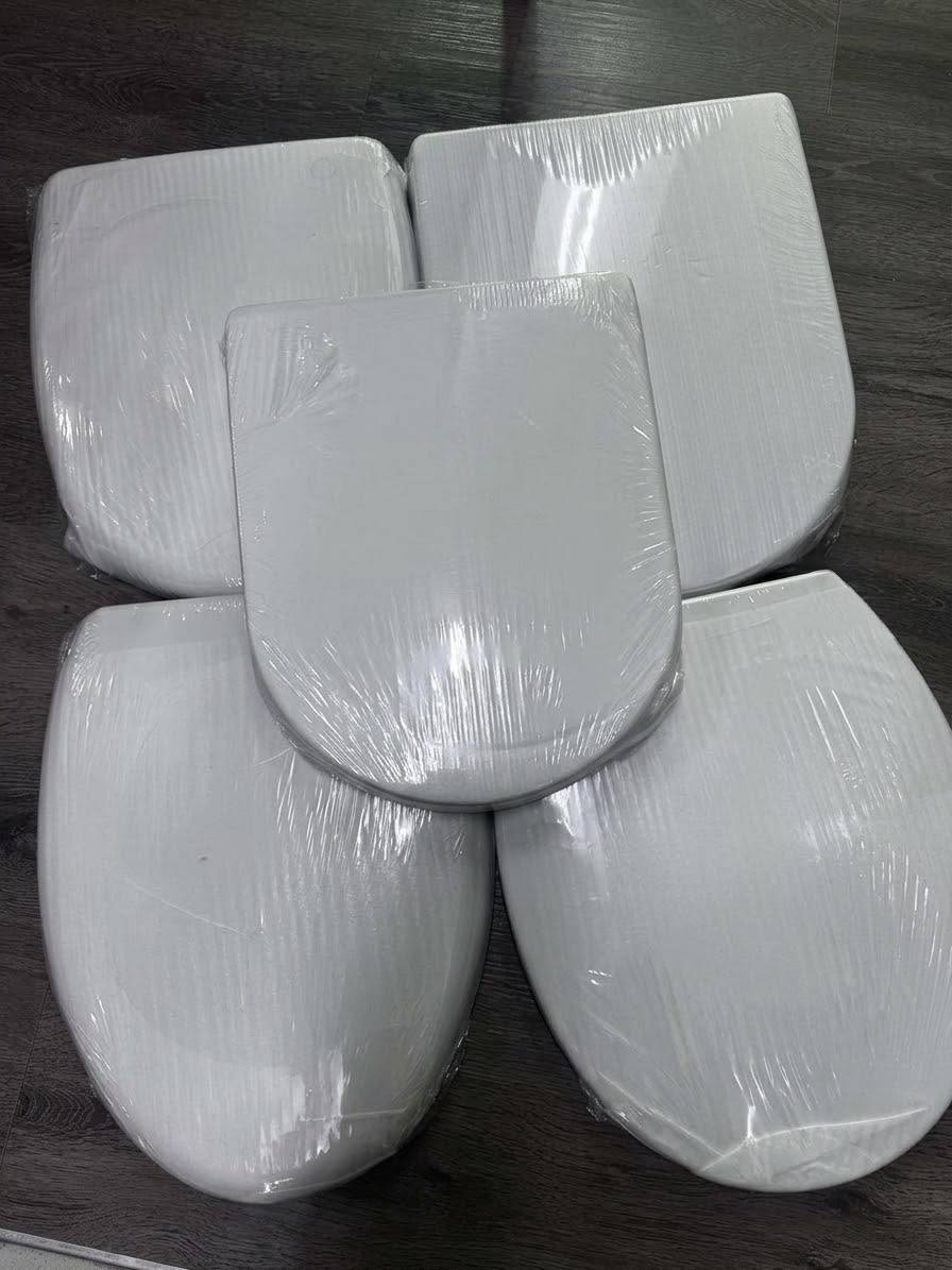 Toilet Bowl Seat Cover Replacement - Image 2
